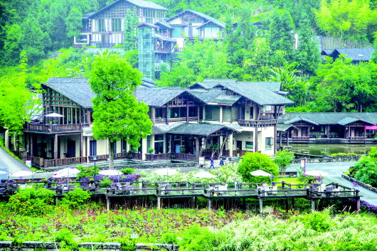（中首）貴州遵義：十二背後旅遊區:秘密還在生長