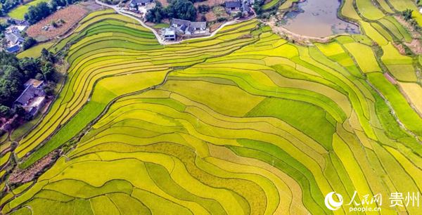 （中首）桐梓風光無限好 全域旅遊正芳華