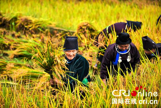 （有修改）貴州丹寨舉行2020年“豐收大典”活動