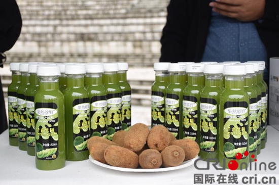 （有修改）貴州貴陽： “修文獼猴桃”豐收季啟幕