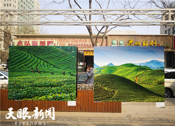 （要聞）第11屆中國·貴州國際茶文化節（茶産業博覽會）宣傳推介暨“我有貴州半畝茶”網絡名人公益活動啟動