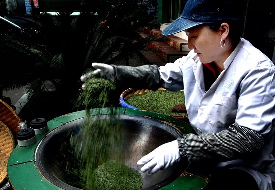 （黔茶貴水）中國綠茶新金三角：貴州！憑什麼？