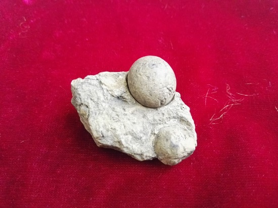 （黔茶貴水）中國綠茶新金三角：貴州！憑什麼？