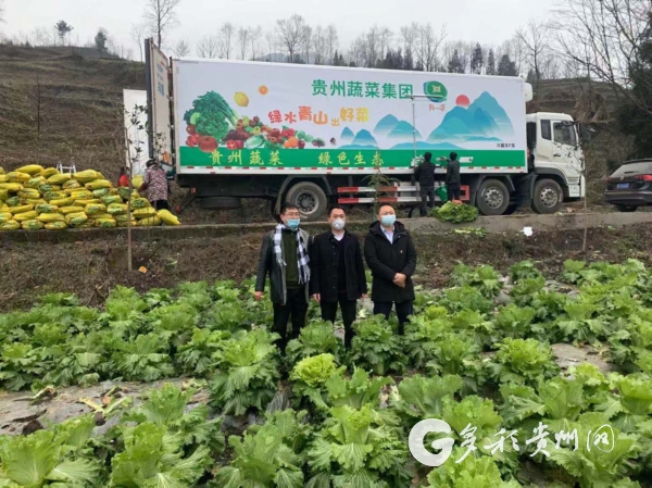 （社會）貴州蔬菜集團向湖北鄂州市捐贈500噸蔬菜