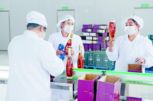 （大扶貧）刺梨深加工帶富貧困戶