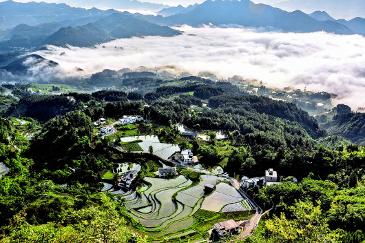 貴州遵義：桐梓堯龍山　詩意美景引客來