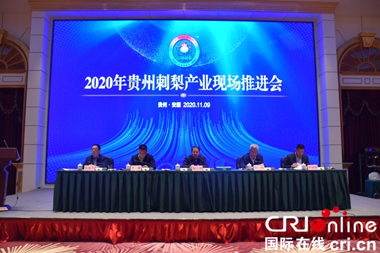 2020年貴州刺梨産業現場推進會在安順舉行