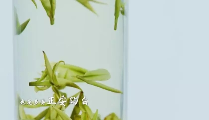 （要聞）杯中一盞茶，多彩貴州情