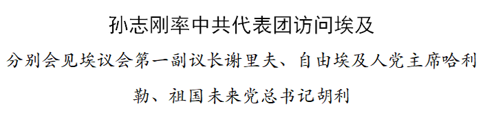 （要聞）孫志剛率中共代表團訪問埃及
