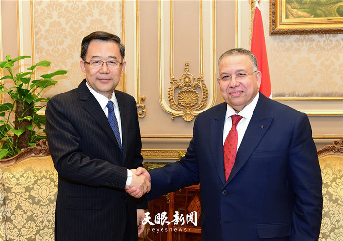 （要聞）孫志剛率中共代表團訪問埃及