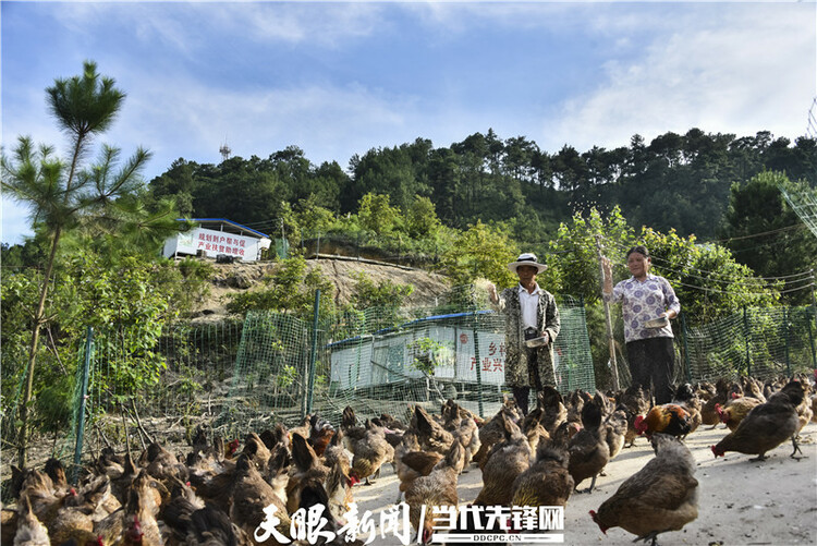 【貴州66個貧困縣全部脫貧摘帽】摘帽“四不摘” 脫貧“成色足” ——紫雲自治縣退出貧困縣紀實