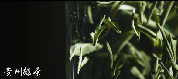 （視頻）一杯茶的“前世今生”，聽匠心茶人娓娓道來……