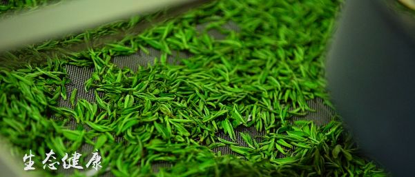（視頻）一杯茶的“前世今生”，聽匠心茶人娓娓道來……