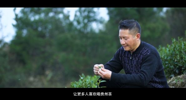 （視頻）一杯茶的“前世今生”，聽匠心茶人娓娓道來……