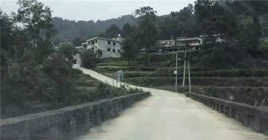 貴州思南：茶花香飄“幸福路”