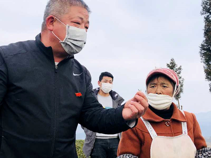 鍾山區大河鎮：黨員助春耕 “捲起褲腿”下田頭