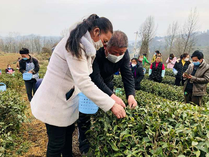 鍾山區大河鎮：黨員助春耕 “捲起褲腿”下田頭