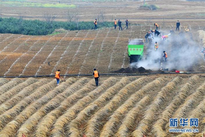 （要聞）確保不誤農時，保障夏糧豐收 ——各地抓好春耕生産在行動