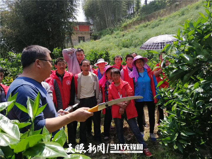【我的扶貧故事】四年扶貧路 情係家鄉 橘香萬里 | 省農科院果樹科學研究所科技特派員李金強