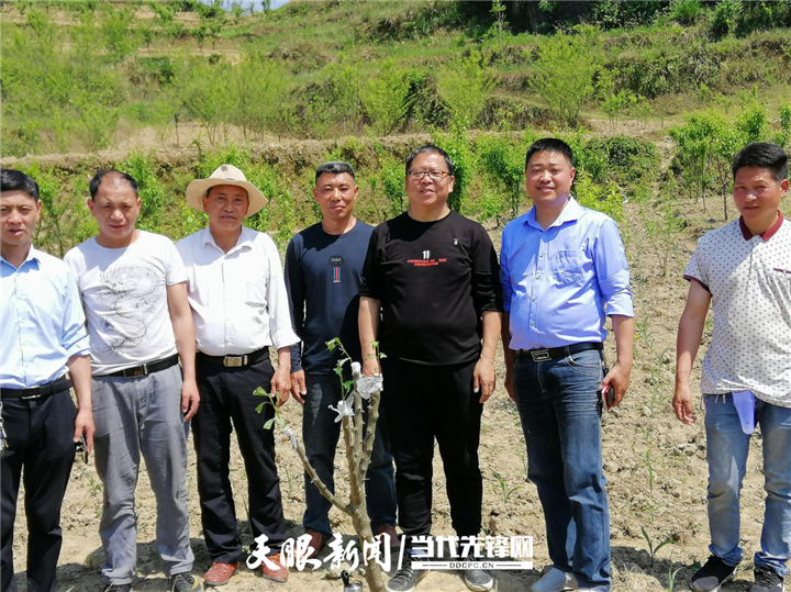 【我的扶貧故事】四年扶貧路 情係家鄉 橘香萬里 | 省農科院果樹科學研究所科技特派員李金強