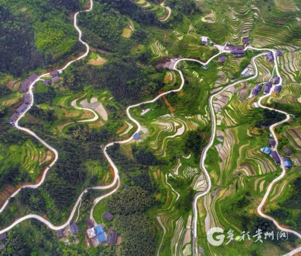 （大交通）高路入雲端——貴州交通上"天"入"地" 通江達海