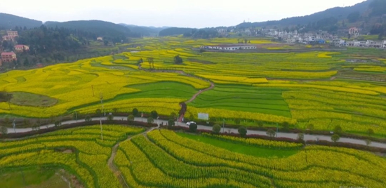 仁懷市按下鄉村“快進鍵”  跑出振興“加速度”