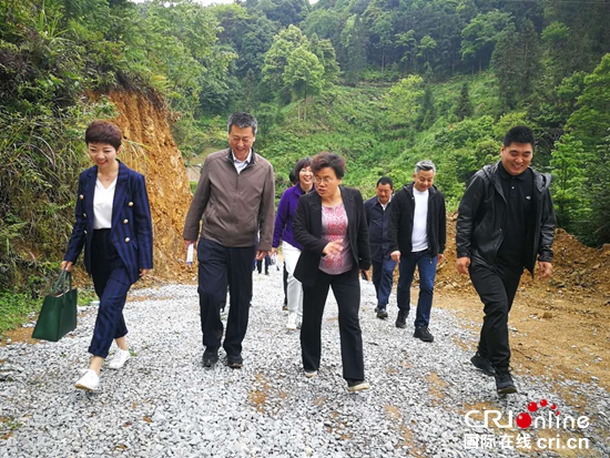 歐美同學會代表赴黔西南望謨調研扶貧工作