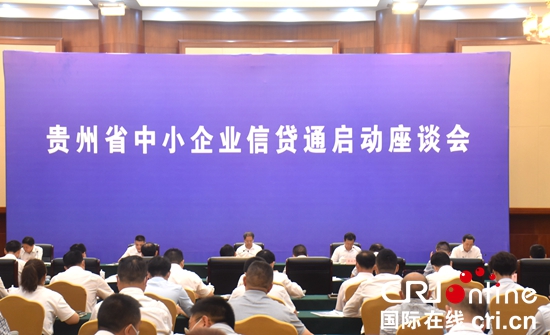 （原創）貴州：創新舉措 為中小企業健康發展保駕護航_fororder_DSC_2247.JPG