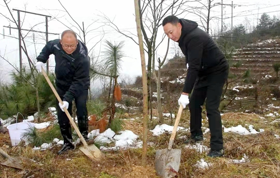 （供稿）六盤水市水城區開展2022 年義務植樹活動_fororder_水城2