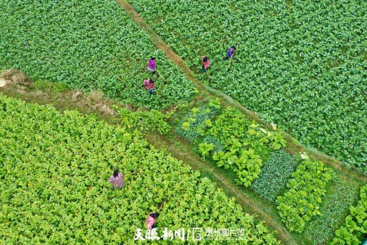 （中首）貴州：春天的色彩