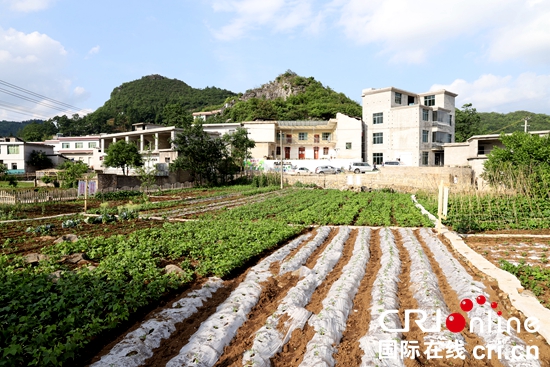 貴州六枝特區：“小康菜園”譜寫農村生活新篇章
