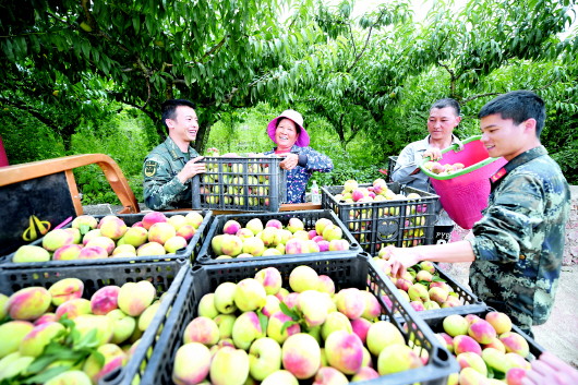 （中首）貴州興義：結對幫扶結碩果