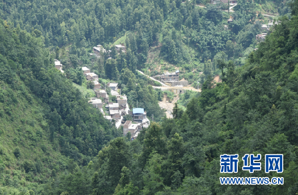 胡蜂養殖助貴州山區民眾增收