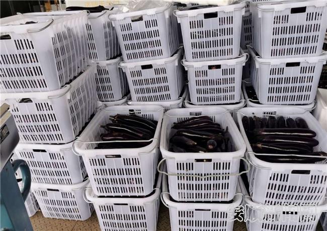貴州安順西秀區大西橋鎮： 産業興旺 致富有望