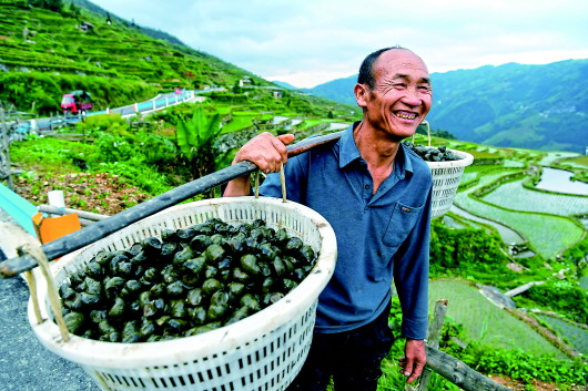 貴州：“産業革命”助力山區擺脫貧困