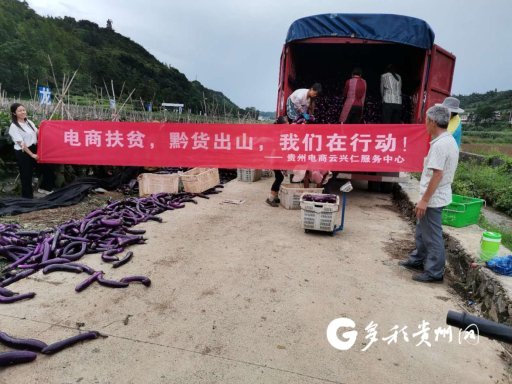 （裁剪圖片中）“一碼貴州”上線 助力脫貧攻堅收官戰