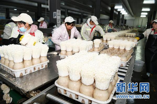 （頭條）烏蒙“同心”戰貧困