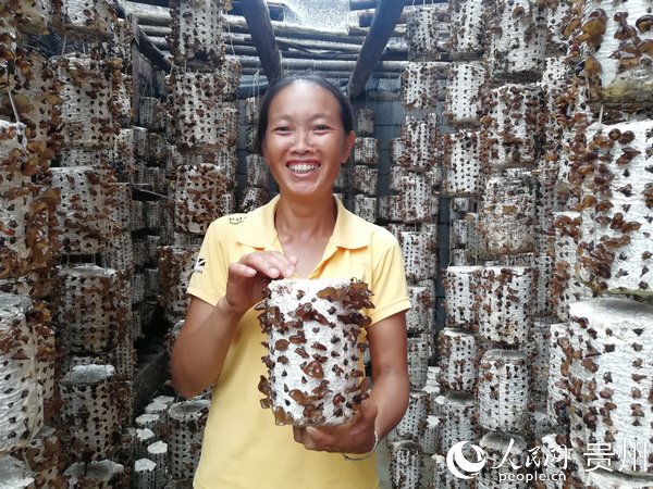貞豐縣這艾村：做活庭院經濟 讓方寸土變增收園