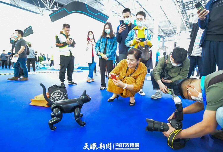 2022年數博會即將舉辦 鏡頭回顧歷屆精彩瞬間