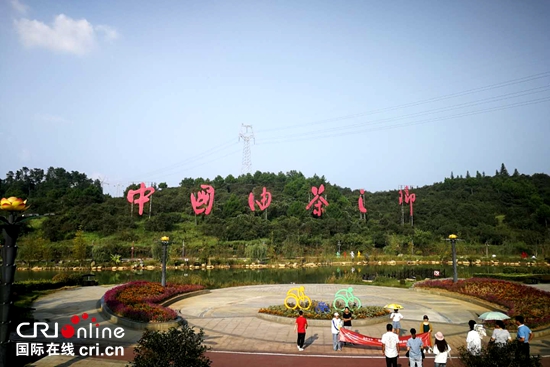貴州玉屏：打造“中國油茶之鄉”歷史新名片