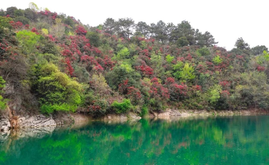貴州長順2022年鄉村振興旅遊推介會在貴陽舉行_fororder_杜鵑湖風景區