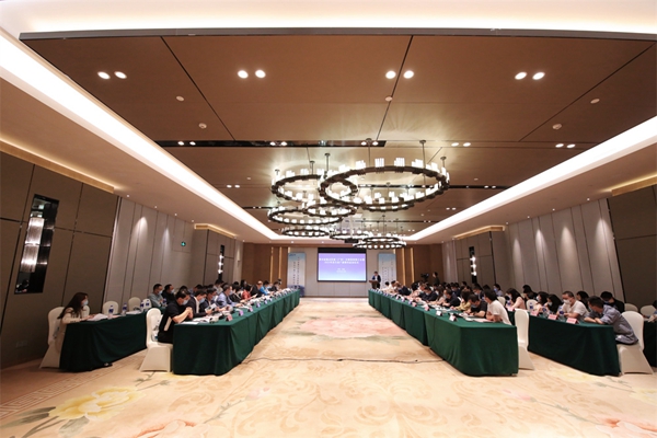 黔粵攜手助力文旅消費市場復蘇 2022年百萬老廣遊貴州活動啟動_fororder_安順1