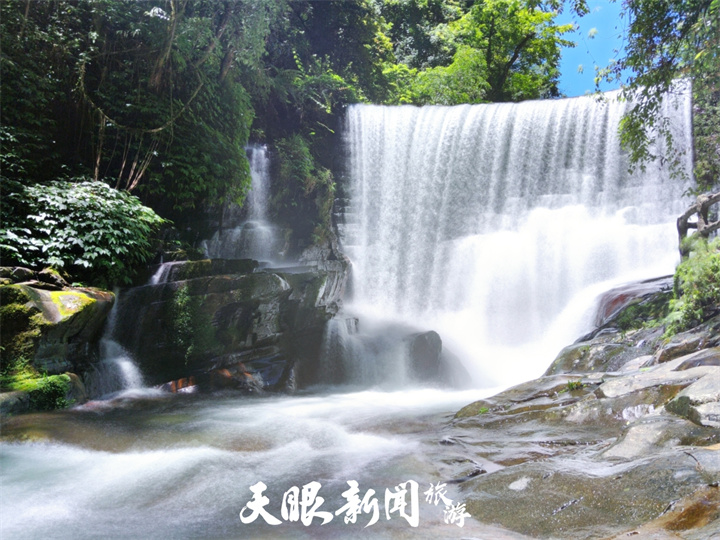 大自然中的奇妙課堂——走進貴州佛頂山自然教育基地