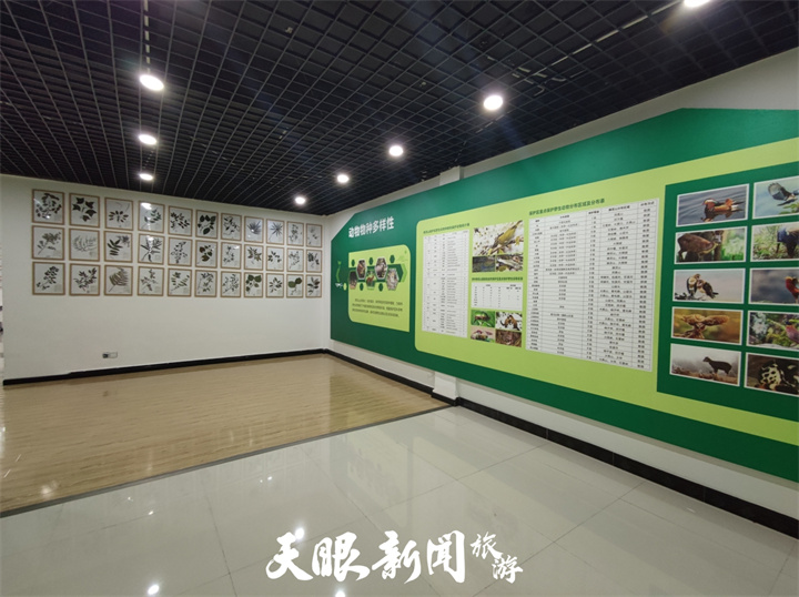 大自然中的奇妙課堂——走進貴州佛頂山自然教育基地