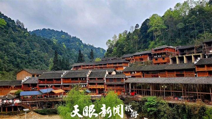 大自然中的奇妙課堂——走進貴州佛頂山自然教育基地