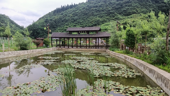 （供稿）貴州修文青山村：農村“五治”入人心 鄉村“顏值”靚起來_fororder_20220712185421-8S2T8W-20220712135536-VSEk09-