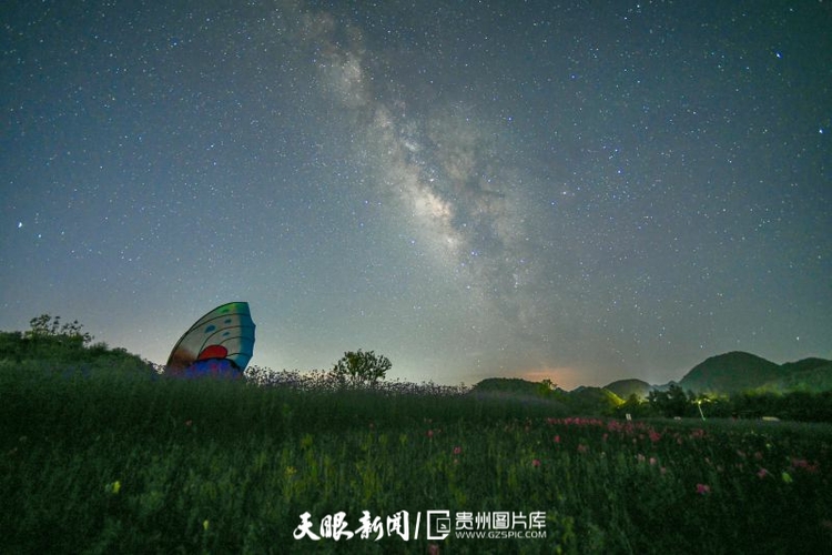 鳥瞰貴州畢節百里杜鵑彝山花谷