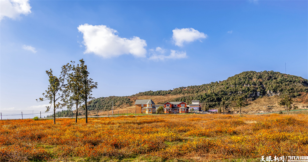 野玉海：國家山地旅遊度假區的“詩和遠方”