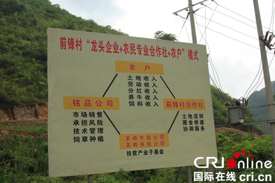 貴州關嶺召開“關嶺牛”養殖合作社現場觀摩會