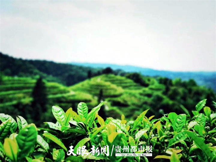 貴州省文旅廳推薦鄉遊開陽：這裡裝滿詩情畫意